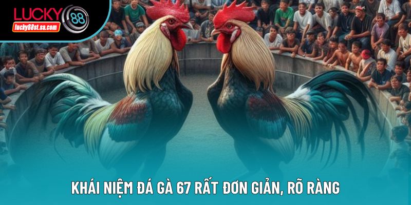 Khái niệm đá gà 67 rất đơn giản, rõ ràng Khái niệm đá gà 67 rất đơn giản, rõ ràng