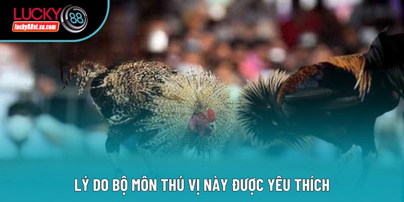 Lý do bộ môn thú vị này được yêu thích Lý do bộ môn thú vị này được yêu thích